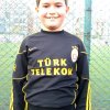 Lowen Geboren in 2005-2006-7